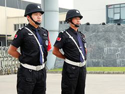 民營(yíng)企業(yè)保安服務(wù)